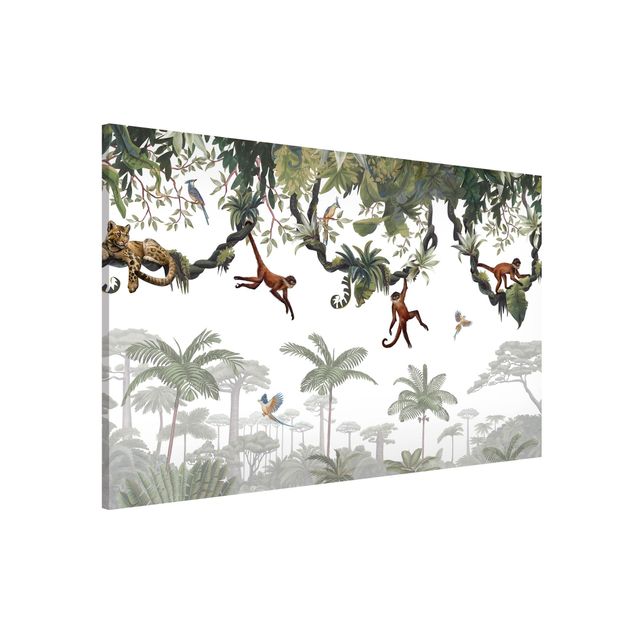 Billeder aber Cheeky monkeys in tropical canopies