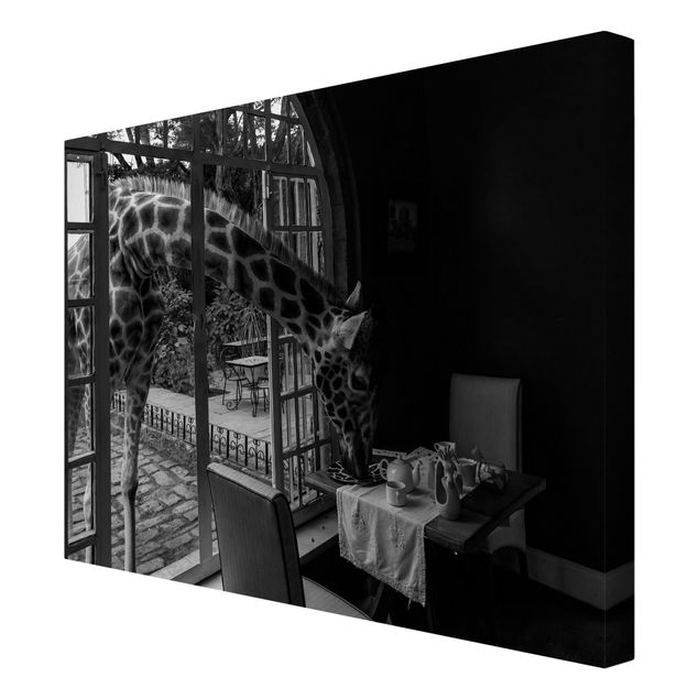 Billeder på lærred sort og hvid Breakfast with Giraffe