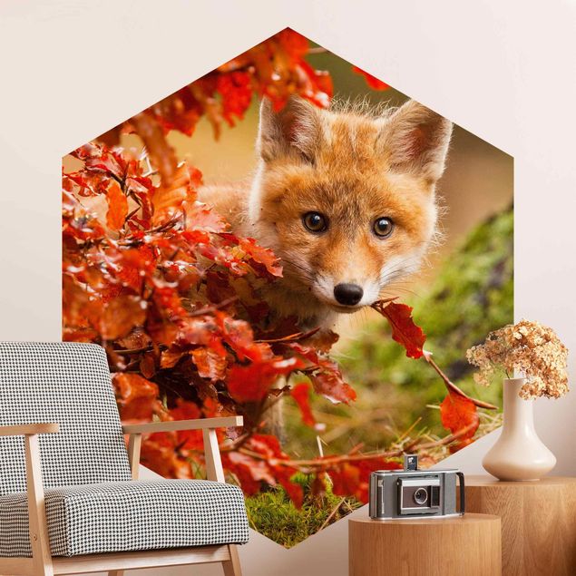 Moderne tapet Fox In Autumn