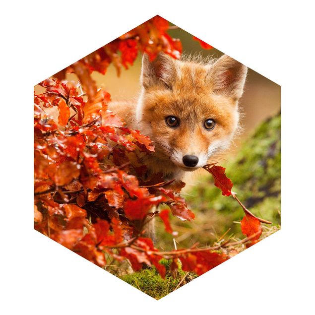 Tapet Fox In Autumn