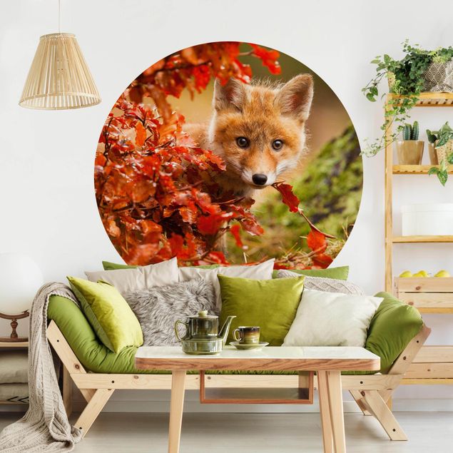 Tapet moderne Fox In Autumn