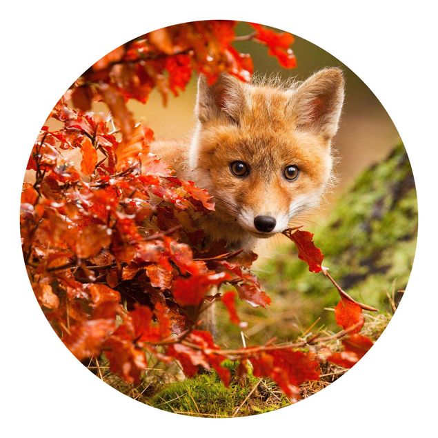 Skovtapet Fox In Autumn