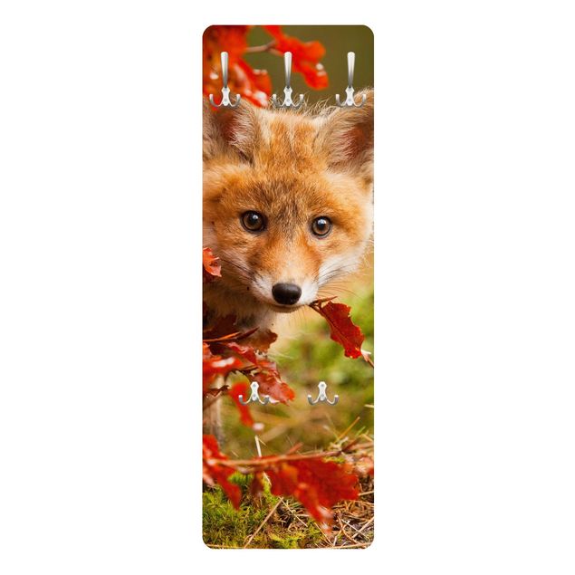 Knagerækker Fox In Autumn