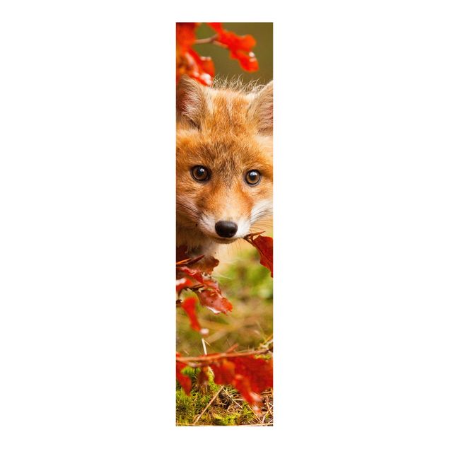 Panelgardiner landskaber Fox In Autumn