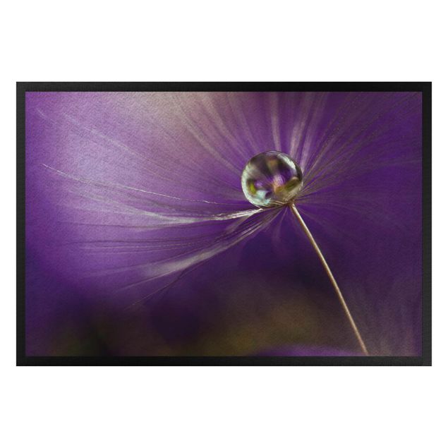Dørmåtter blomster Dandelion In Violet