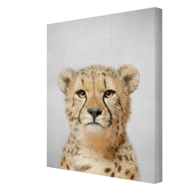 Billeder sort og hvid Cheetah Gerald
