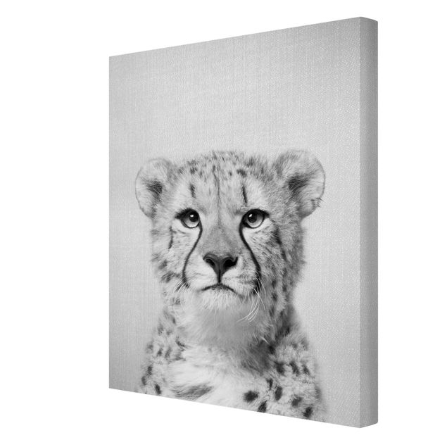 Billeder sort og hvid Cheetah Gerald Black And White