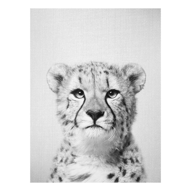 Billeder sort og hvid Cheetah Gerald Black And White