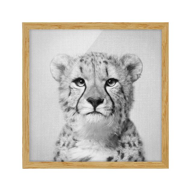 Billeder moderne Cheetah Gerald Black And White