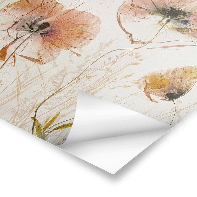 Plakater Dried Poppy Flowers With Delicate Grasses