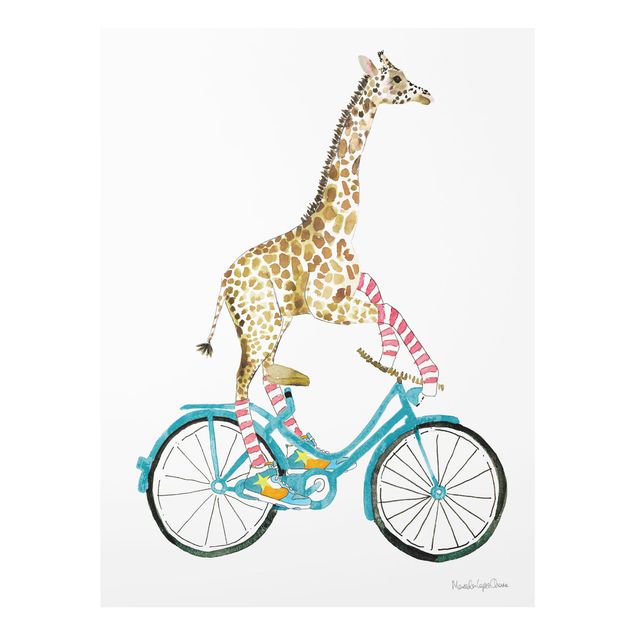 Billeder dyr Giraffe on a joy ride II