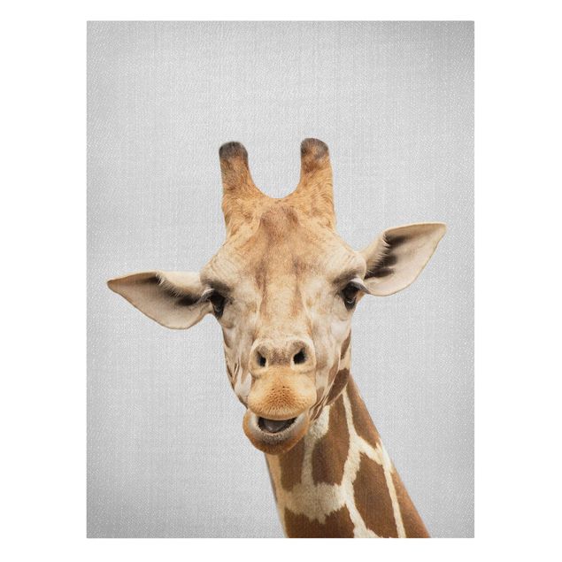 Billeder på lærred dyr Giraffe Gundel