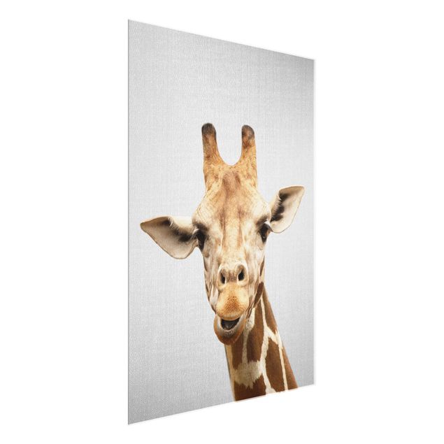 Glasbilleder dyr Giraffe Gundel