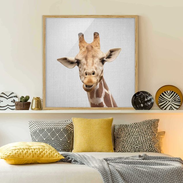 Billeder giraffer Giraffe Gundel