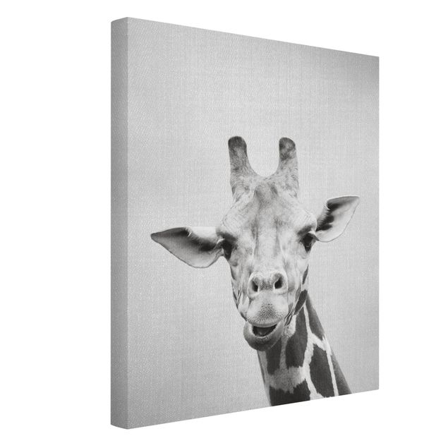 Billeder på lærred sort og hvid Giraffe Gundel Black And White