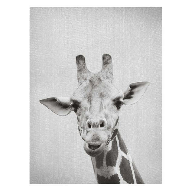 Billeder på lærred dyr Giraffe Gundel Black And White
