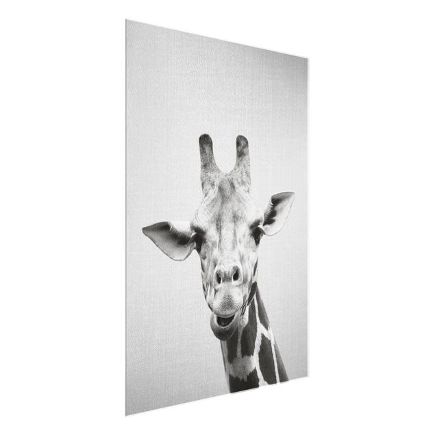 Glasbilleder dyr Giraffe Gundel Black And White