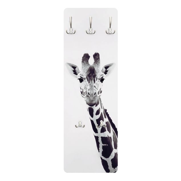 Knagerækker Giraffe Portrait In Black And White