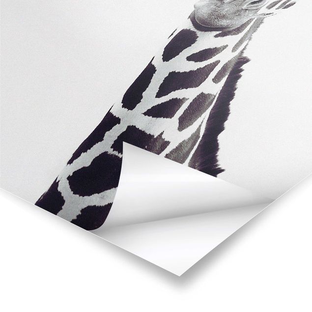 Billeder Monika Strigel Giraffe Portrait In Black And White