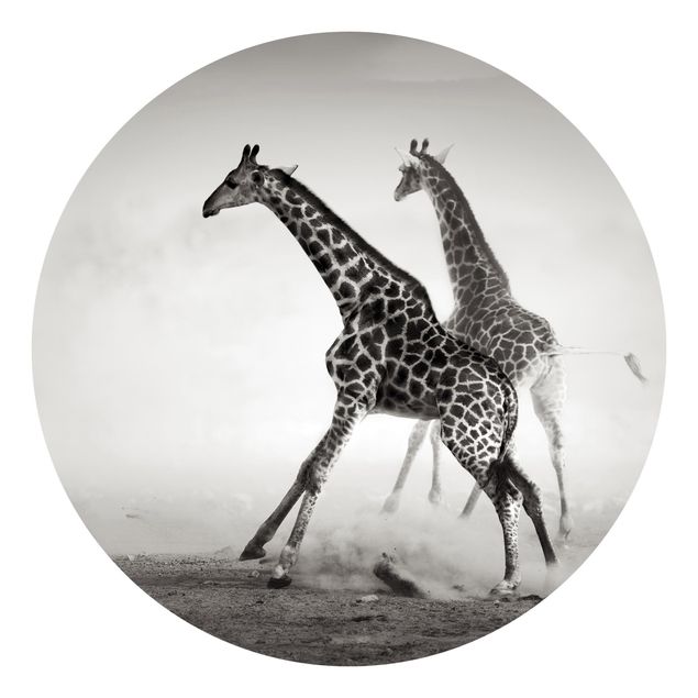 Fototapet ørkener Giraffe Hunt