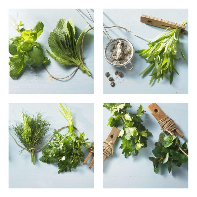 Billeder grøn Bundled Herbs