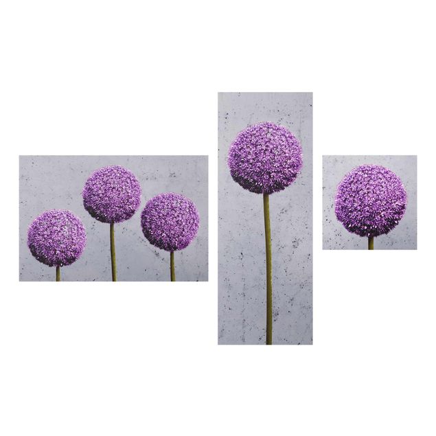 Billeder blomster Allium Round-Headed Flower