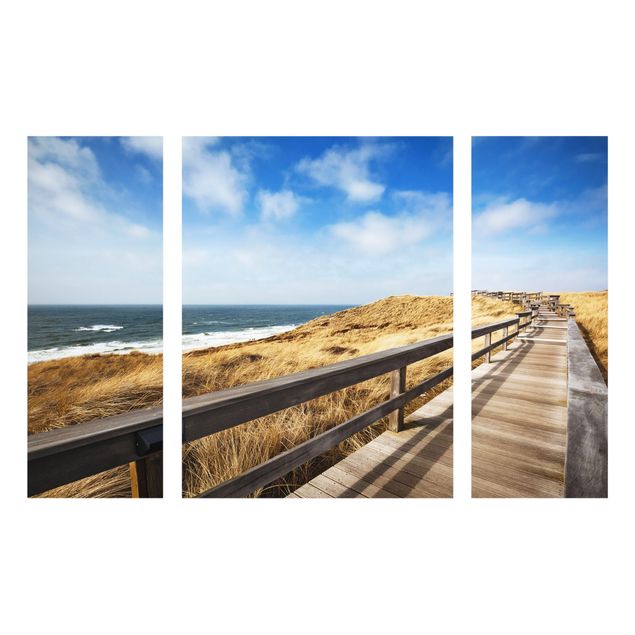 Billeder landskaber Path between dunes at the North Sea on Sylt