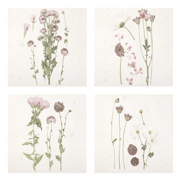 Billeder blomster Herbarium In Pink Set I