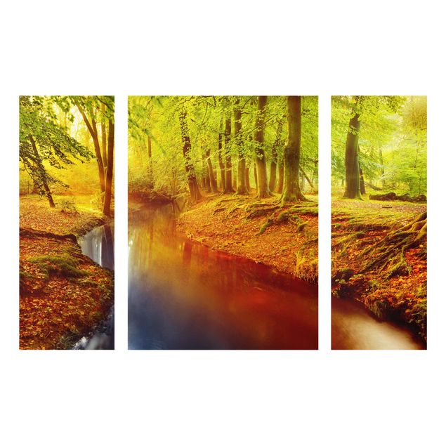 Billeder landskaber Autumn Forest