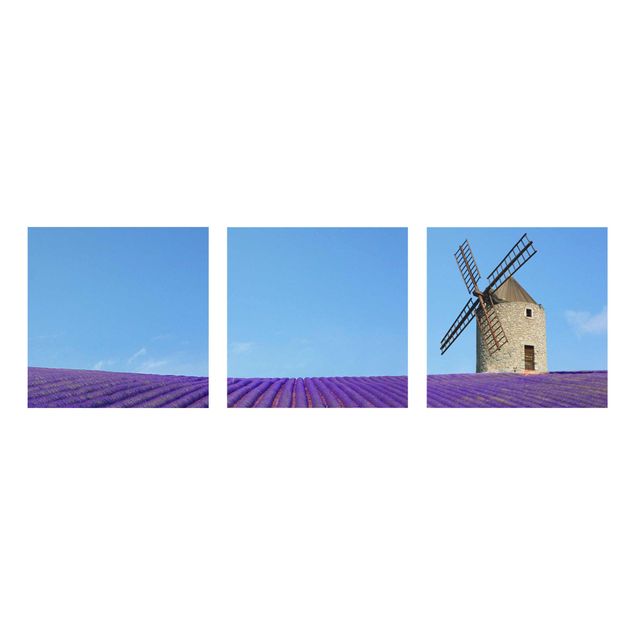 Glasbilleder blomster Lavender Scent In The Provence
