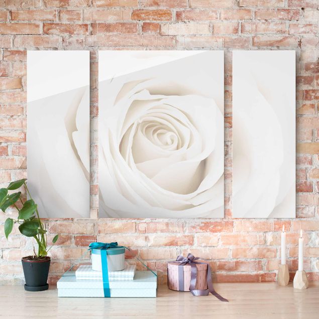 Glasbilleder roser Pretty White Rose