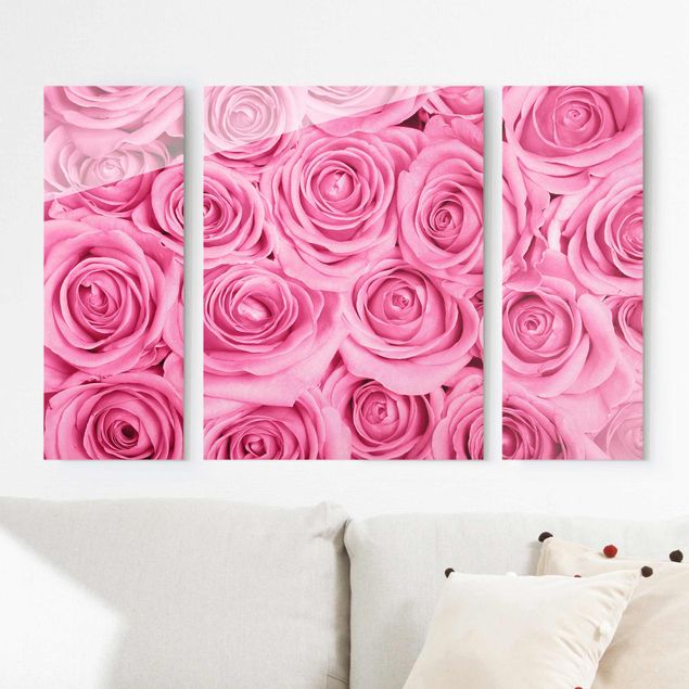 Glasbilleder roser Pink Roses