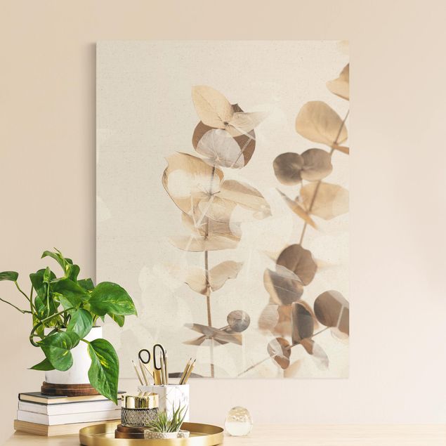 Billeder på lærred blomster Golden Eucalyptus With White II