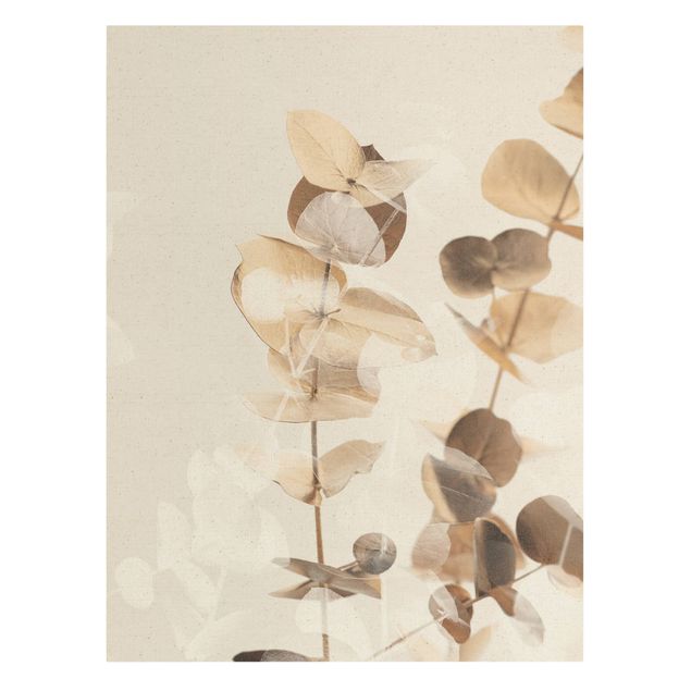Billeder på lærred guld Golden Eucalyptus With White II