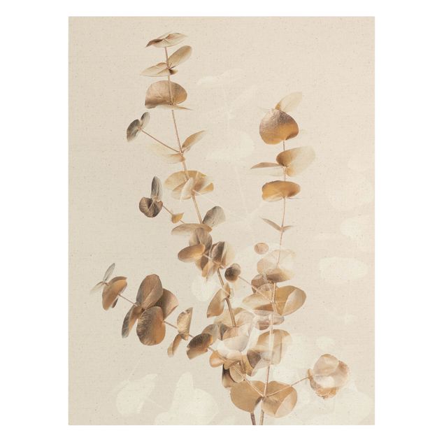 Billeder på lærred guld Golden Eucalyptus With White