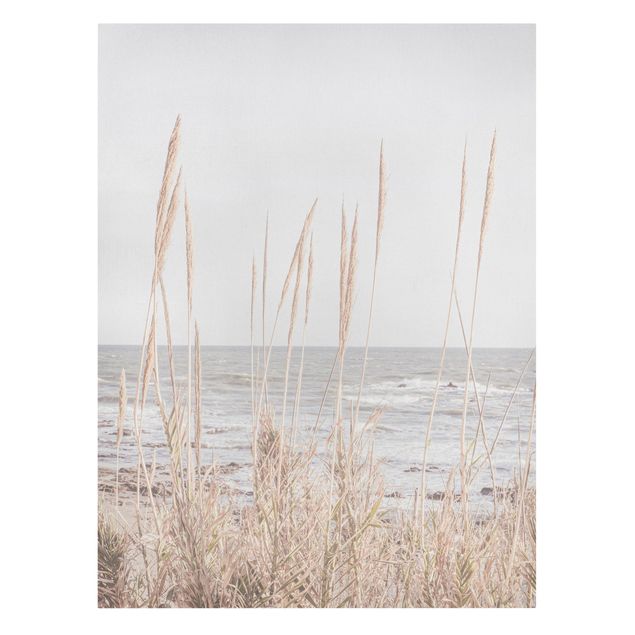 Billeder hav Grasses by the sea
