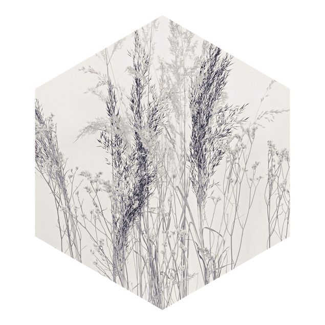 Billeder Monika Strigel Variations Of Grass