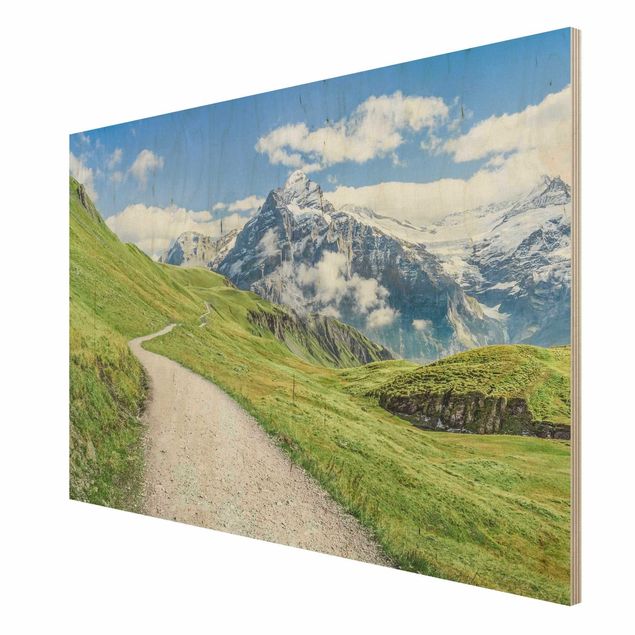 Billeder Grindelwald Panorama
