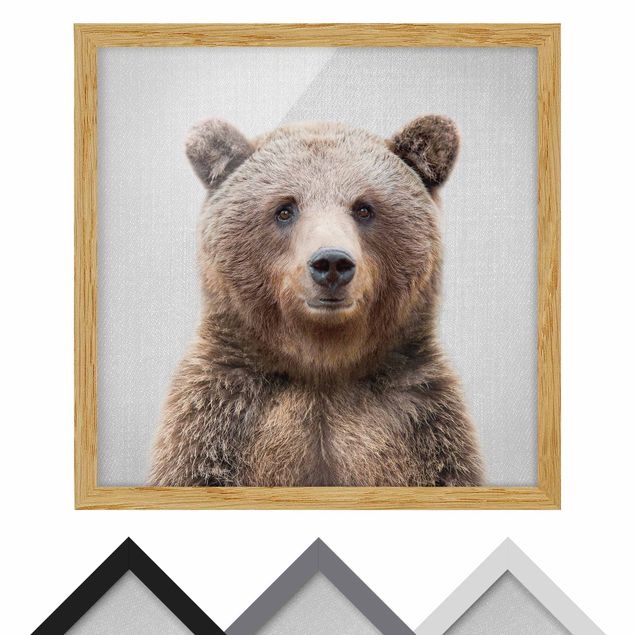 Billeder sort og hvid Grizzly Bear Gustel