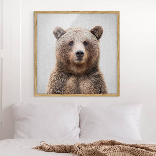 Billeder bjørne Grizzly Bear Gustel