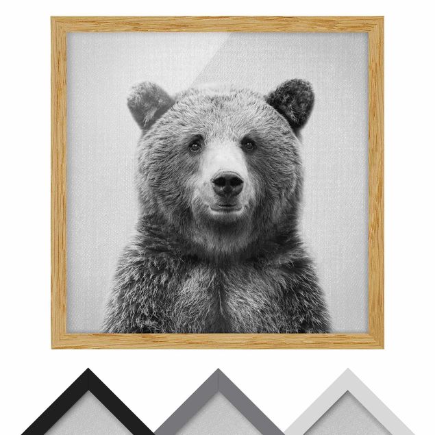 Billeder sort og hvid Grizzly Bear Gustel Black And White