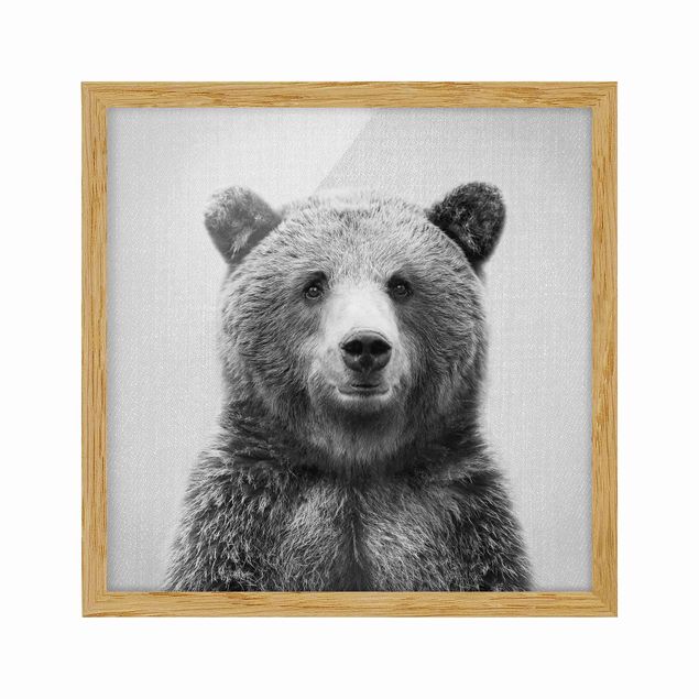 Indrammede plakater dyr Grizzly Bear Gustel Black And White