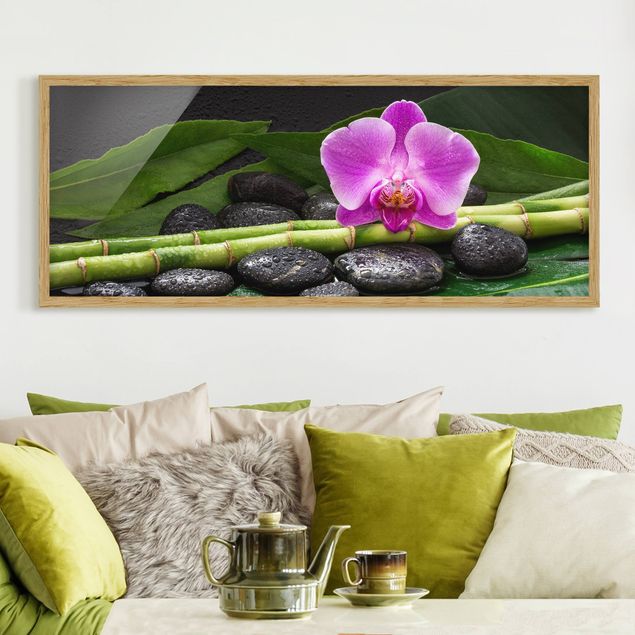 Billeder orkideer Green bamboo With Orchid Flower
