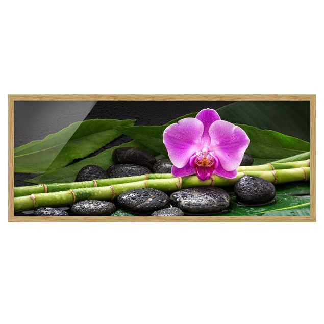 Billeder blomster Green bamboo With Orchid Flower