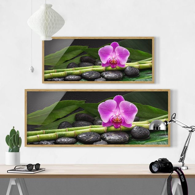 Billeder blomster Green bamboo With Orchid Flower
