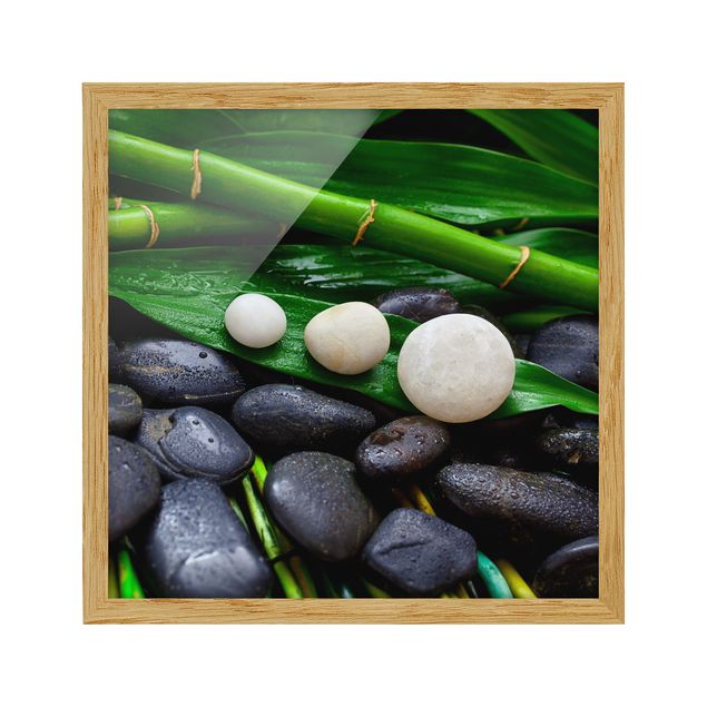 Billeder moderne Green Bamboo With Zen Stones