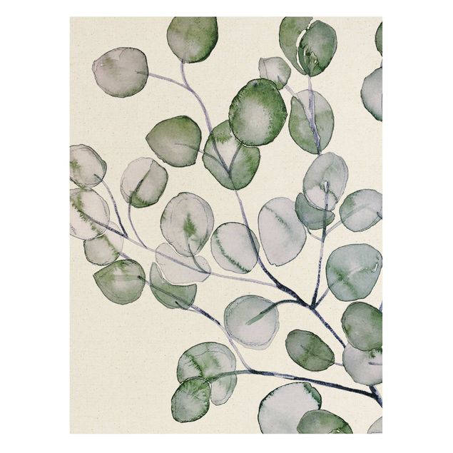 Billeder grøn Green Watercolour Eucalyptus Branch