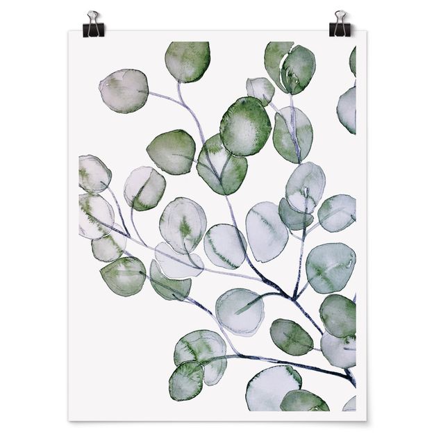 Billeder blomster Green Watercolour Eucalyptus Branch