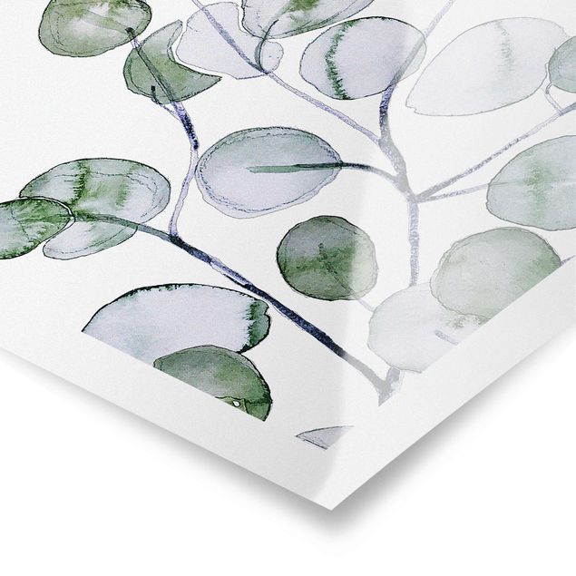 Billeder Monika Strigel Green Watercolour Eucalyptus Branch
