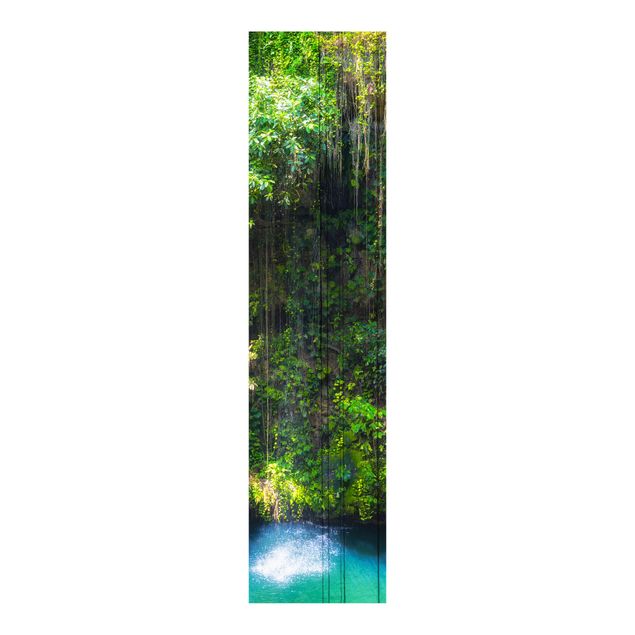 Panelgardiner landskaber Hanging Roots Of Ik-Kil Cenote